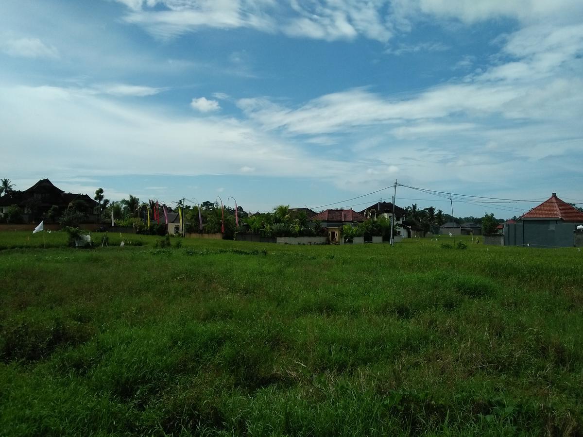 Rumah Rose Ubud (Bali) Bagian luar foto